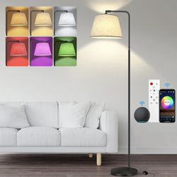 Floor Lamp Smart with 3 Color Lights & 16 Million RGB Color Dimmable with Remote Control