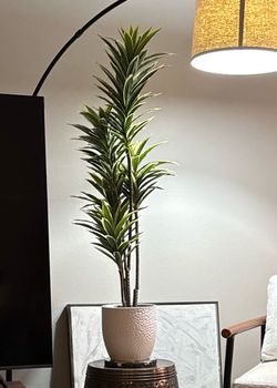 Modern Tall Faux Plant w/ Textured Pot – Boho / West Elm Style
