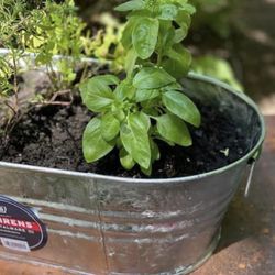 Set of 8 New 5.5 Gallon Galvanized Steel Tubs - High Grade, Hot Dipped, Save $80!