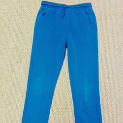 All In Motion Blue Joggers Sz L