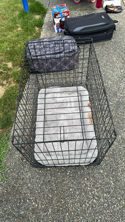 Pet kennel