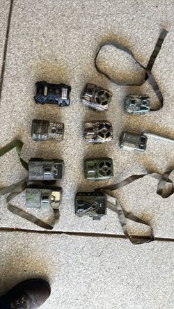 Hunting trail cameras