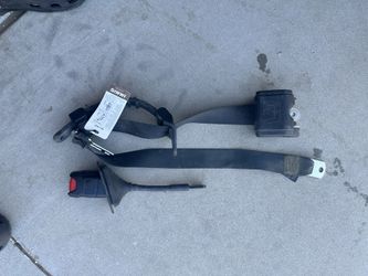 Seat Belts