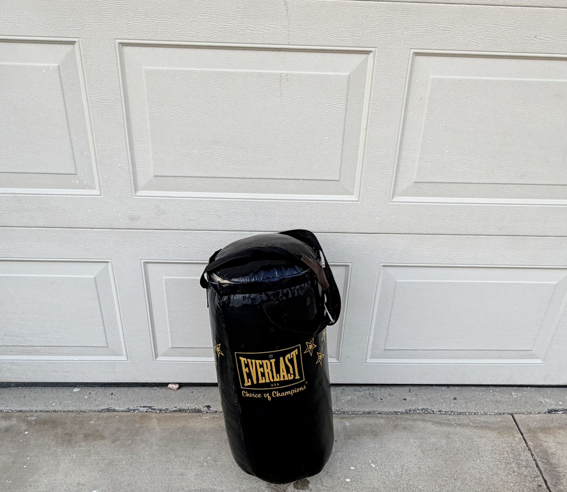 Everlast 25lbs Punching Bag 