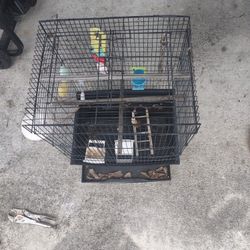 Bird Cage 