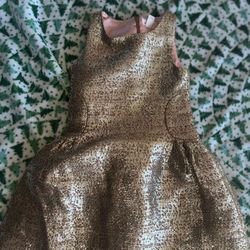 Gold Dress 4/5