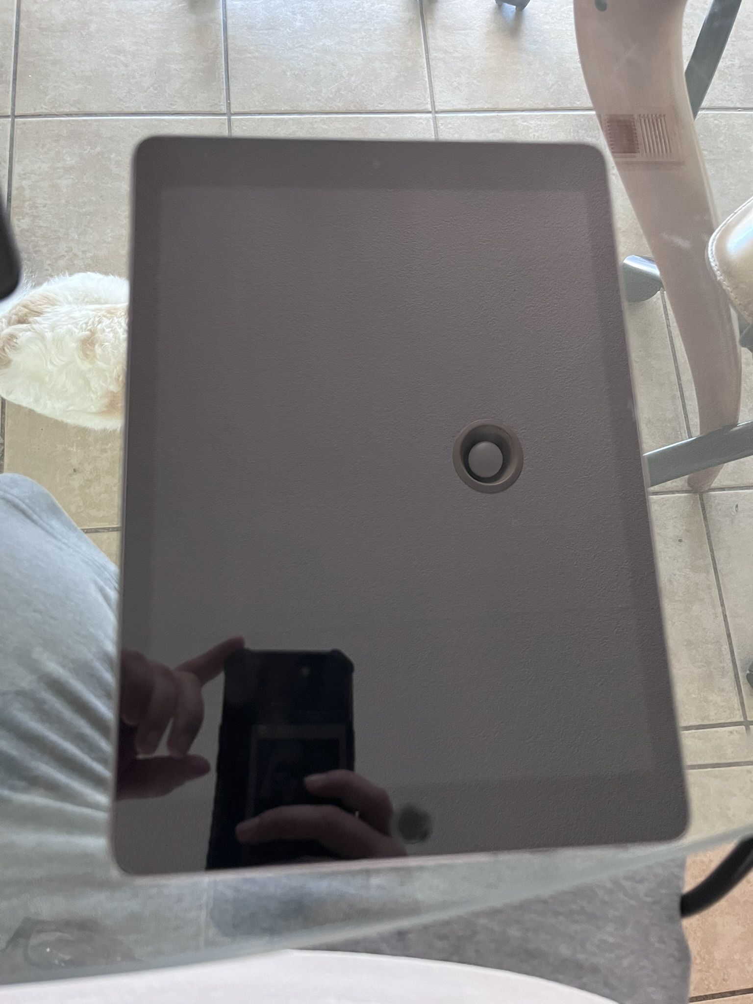 Apple iPad