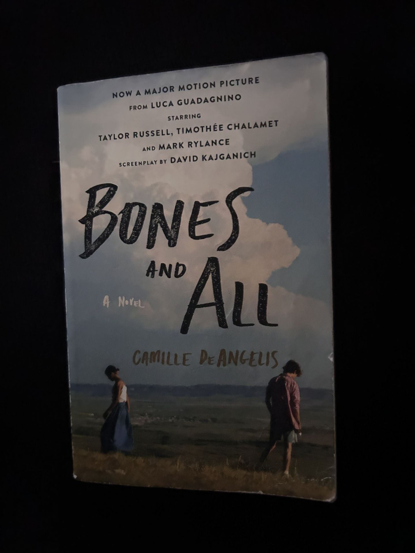 Bones and All Book