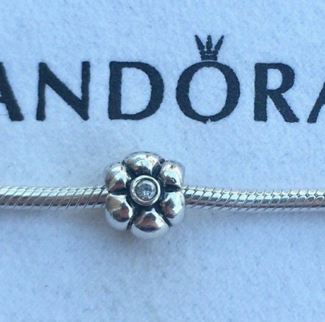Pandora Charms