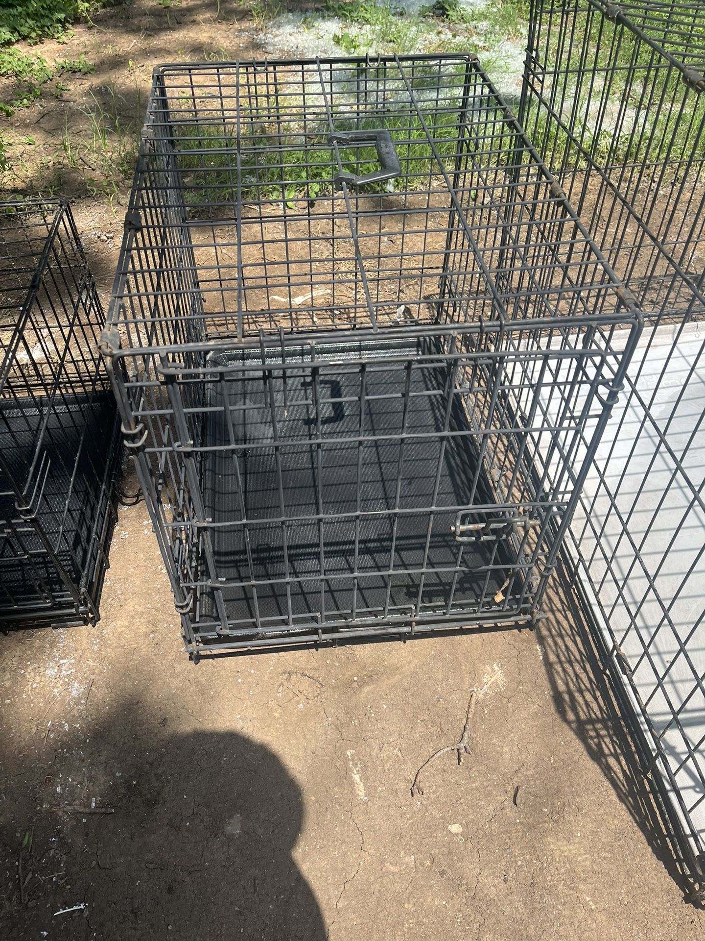 Dog Cage