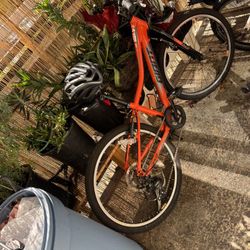Giant Bike 