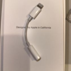 Apple 3.5mm Adapter