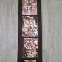 12x36 Tigers Poster