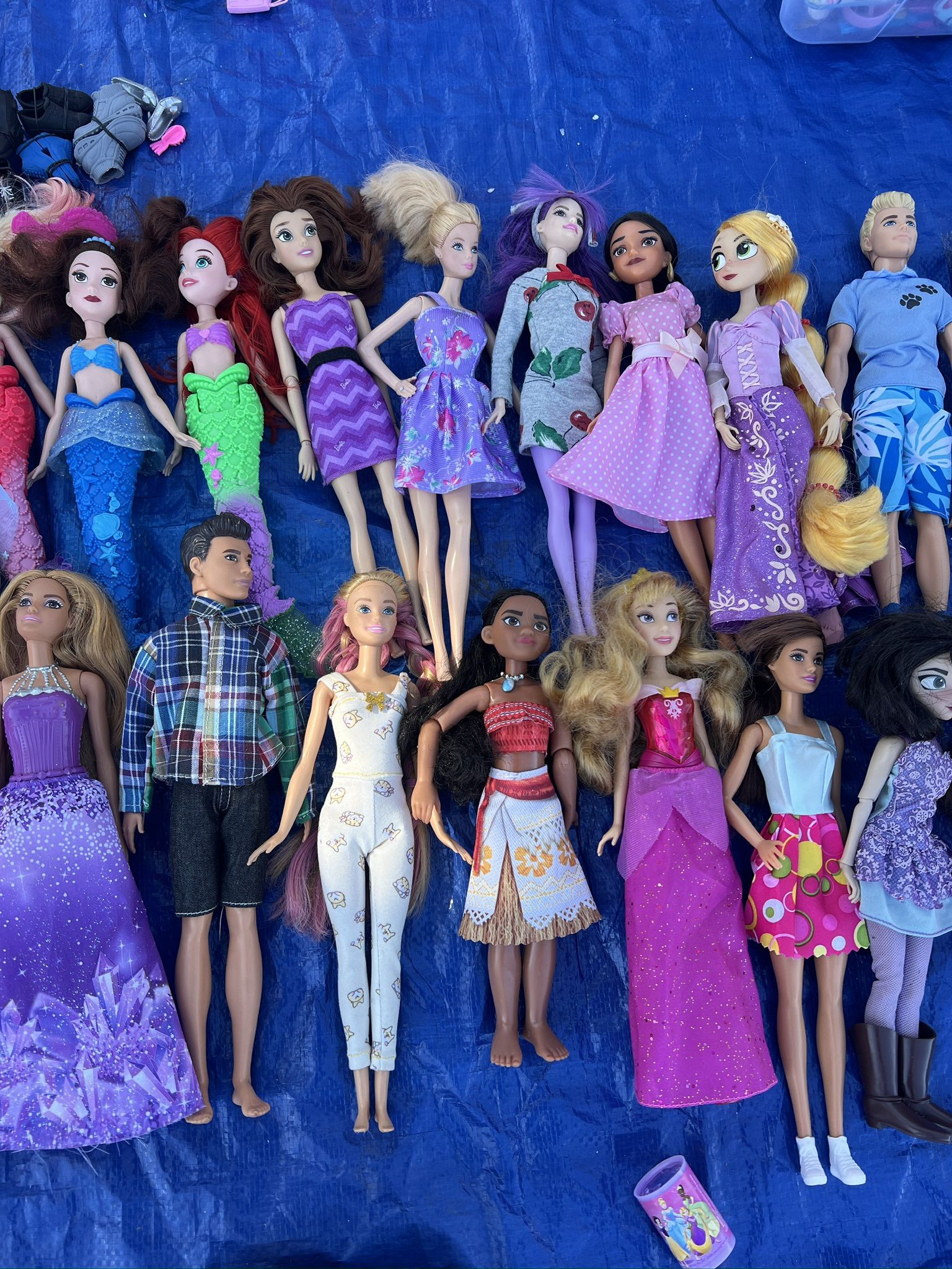 Full Barbie Doll Collection And Clothing