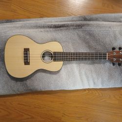 Kala Concert Ukellele  Mint Condition 