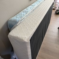 Two Free Twin Mattresses