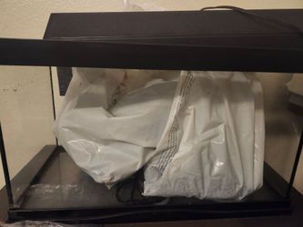 10 gallon fish tank set up