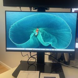 Dual 21.5” Packard Bell Monitors With Stand