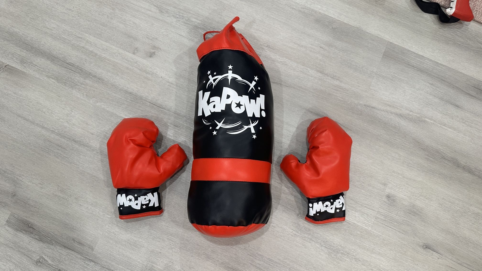 Punching Bag And Gloves For Little Kids