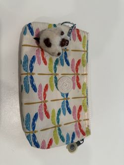Kipling Pouch/ Wallet