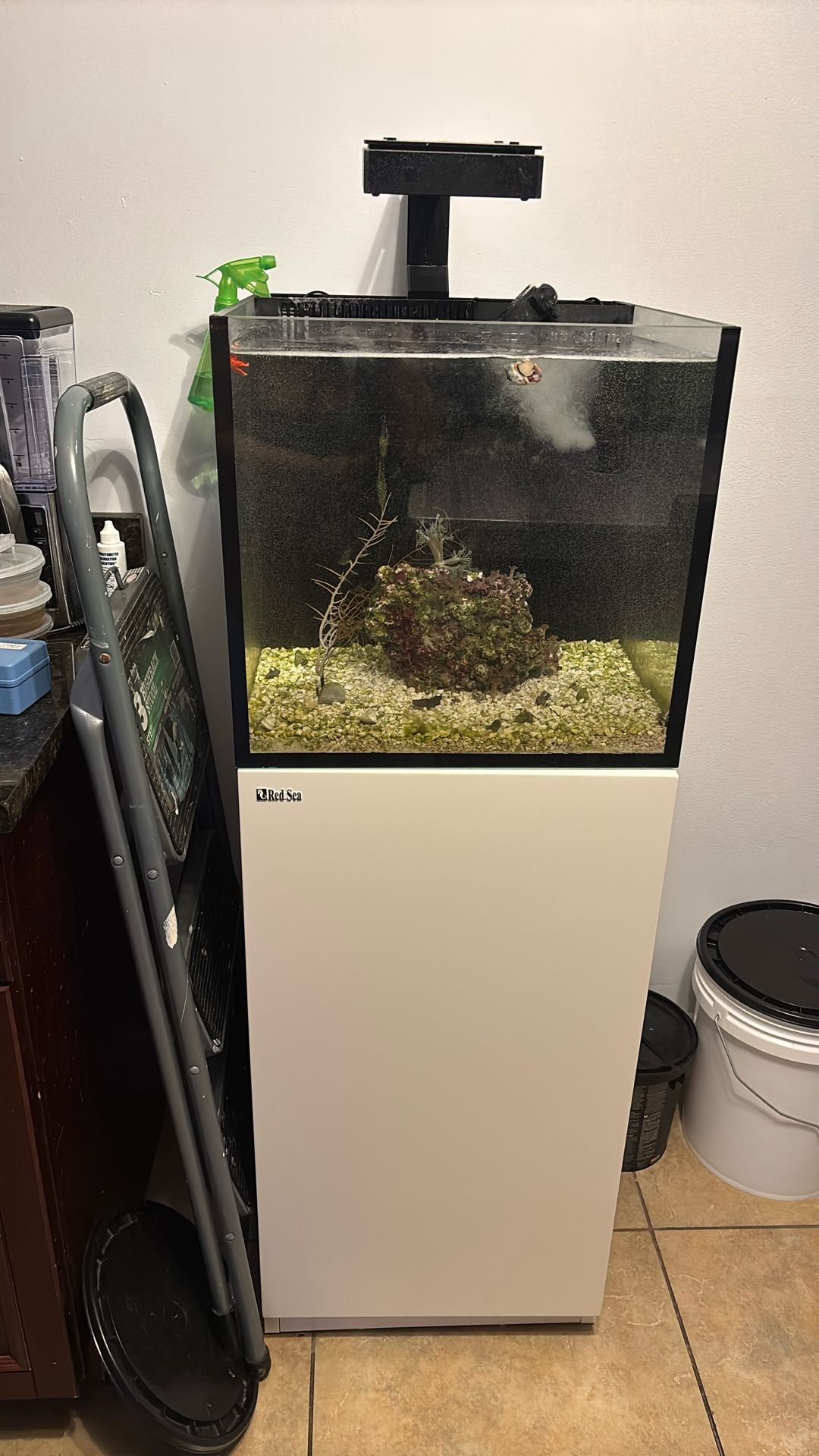 Redsea Tank And Stand