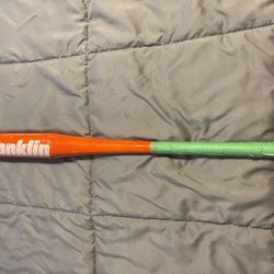 Franklin Barry Bond Bat 