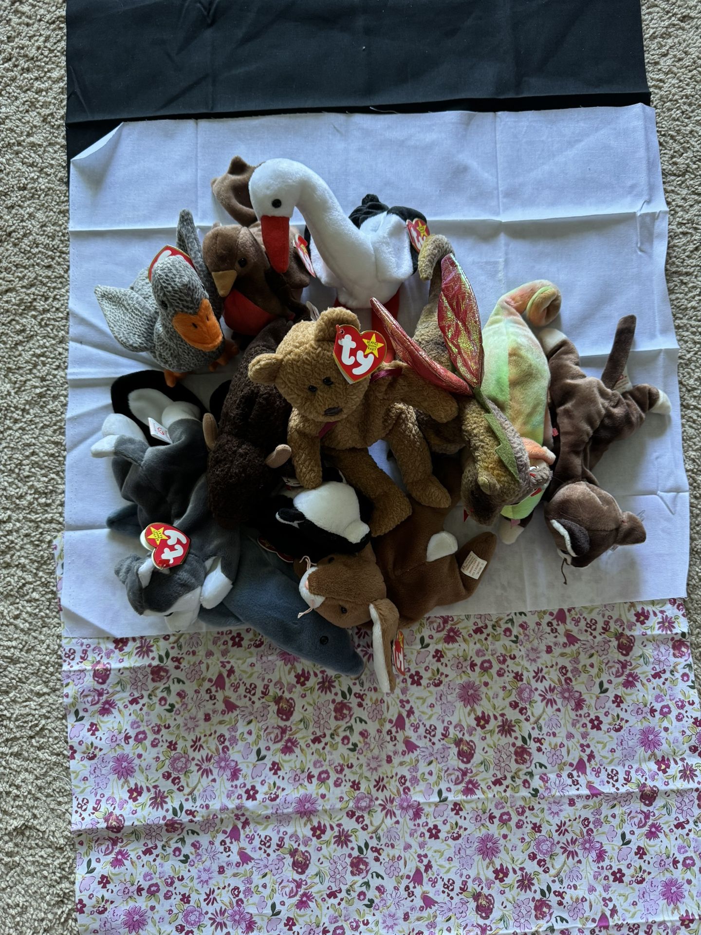 Vintage Beanie Babies Haul w/ Tag Errors (1990s)