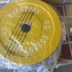 A Pair Of 35 Pounds Bumper Weight