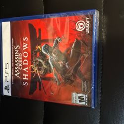 Brand New Assassins Creed “shadows” 