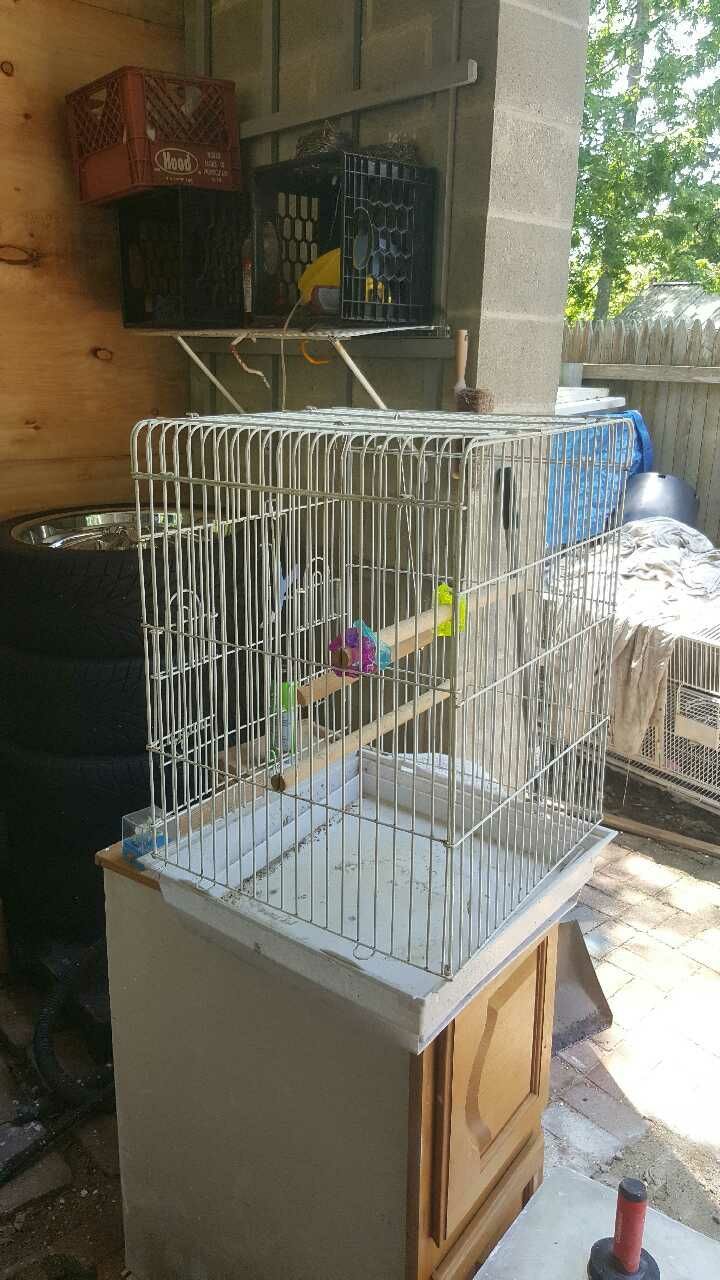 Birdcage