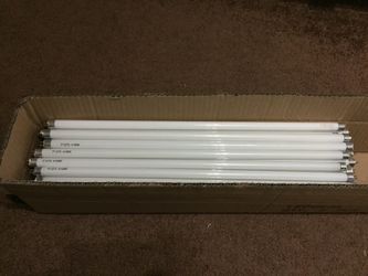 21" F13T5CW 4100K Fluorescent Lamp