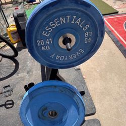 45 Lb Bunker Plates 