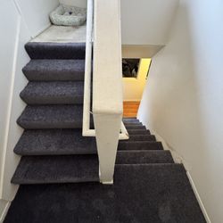 Carpet & Floors