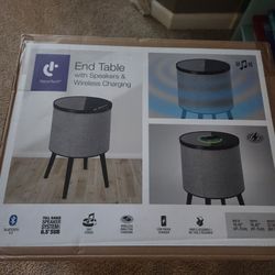 Decor Tech Speaker End Table