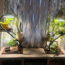 Heart shaped plant stand with lights