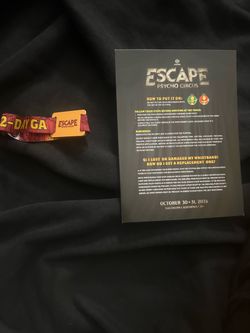 Escape 2 day ga ticket