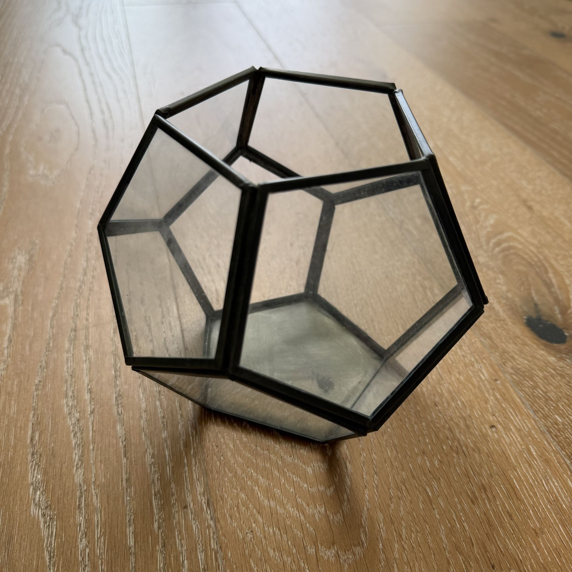 Octagon Terrarium Planter Glass Metal Air Plants Succulents