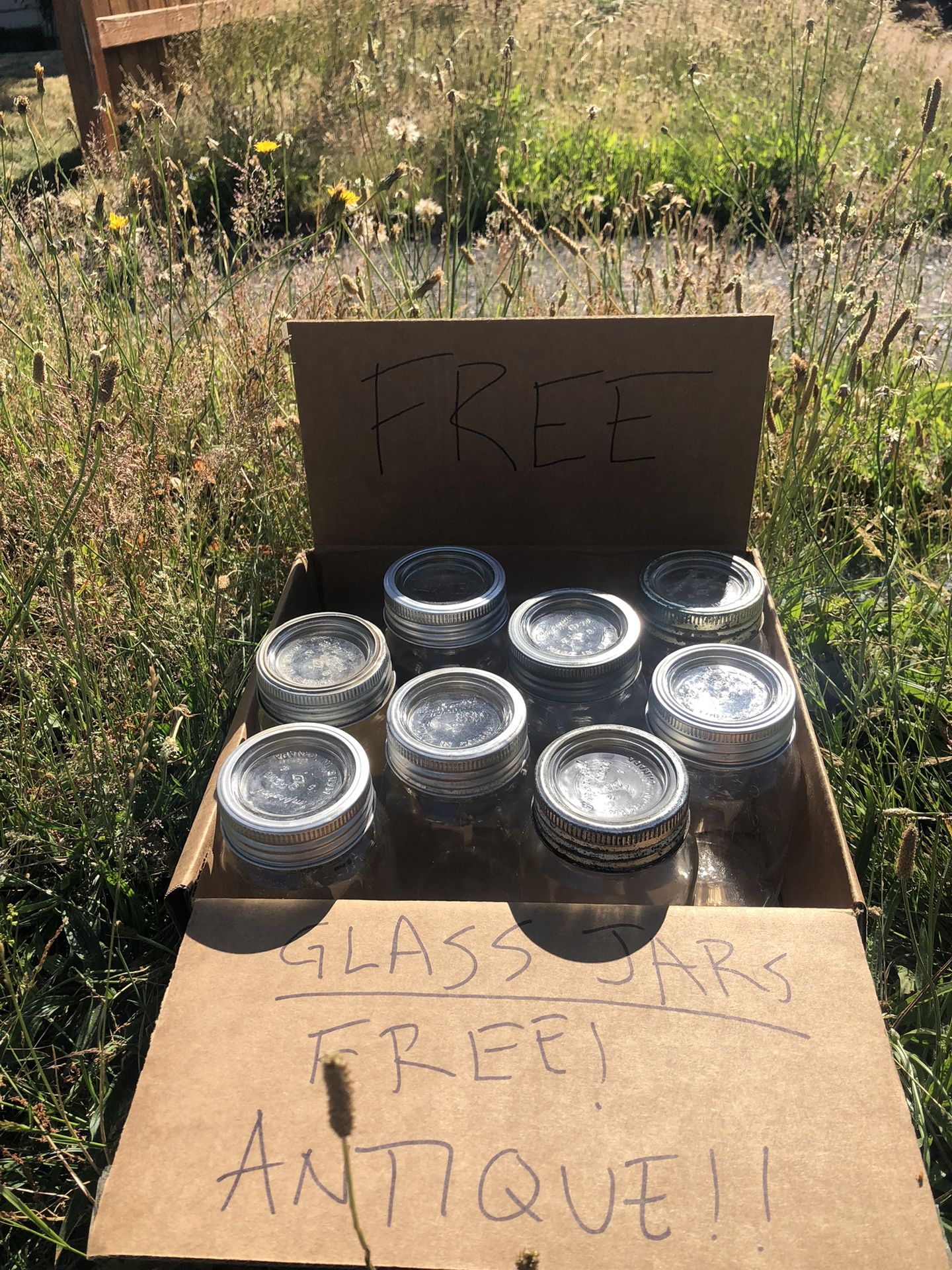 Free Glass Jars - Antique