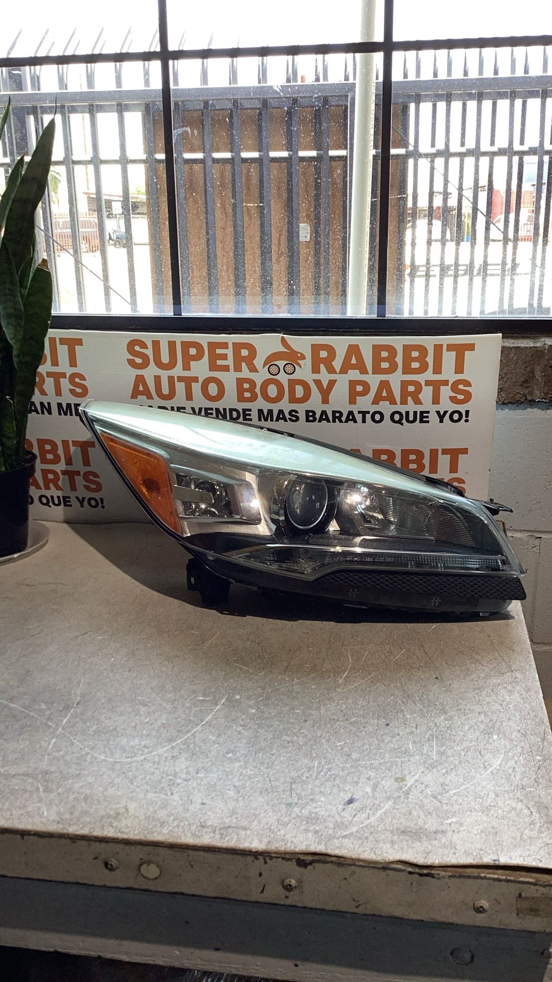 2013 Escape Headlight Passenger Headlight Xenon HID 2016