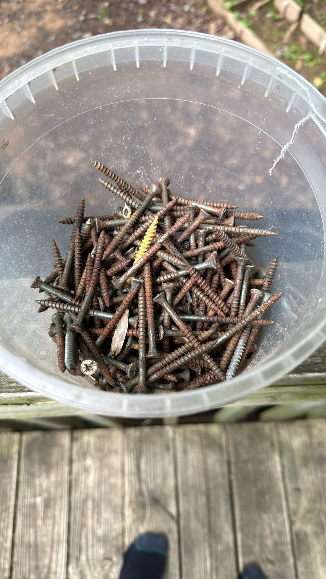 Deck Screws