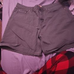 Woman's Shorts