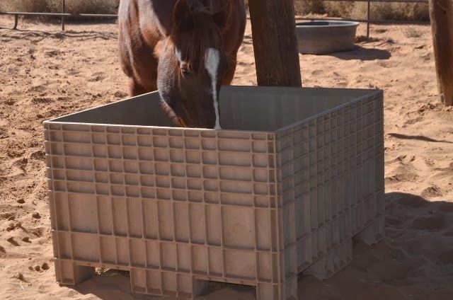 Macro Bins, Stackable Storage Or Feeders