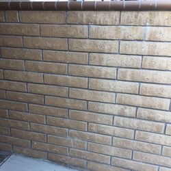 Bricks