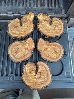 Olive Wood Rounds - Unique Shapes