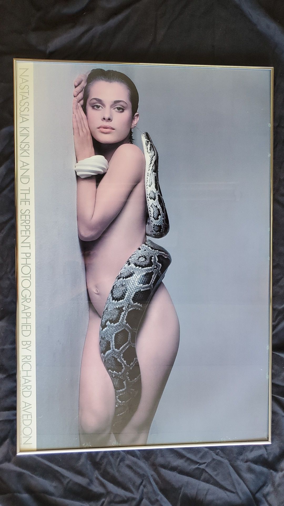 Nastassja kinski and the serpent picture