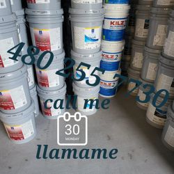 Paint And Primer For House And Traila