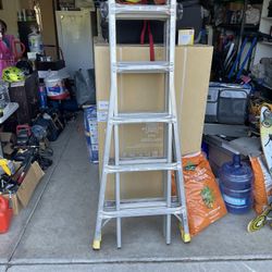 Ladder/Gorilla Ladder. Excellent Shape $100