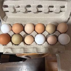 Farm Fresh Eggs