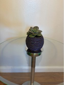 Plant