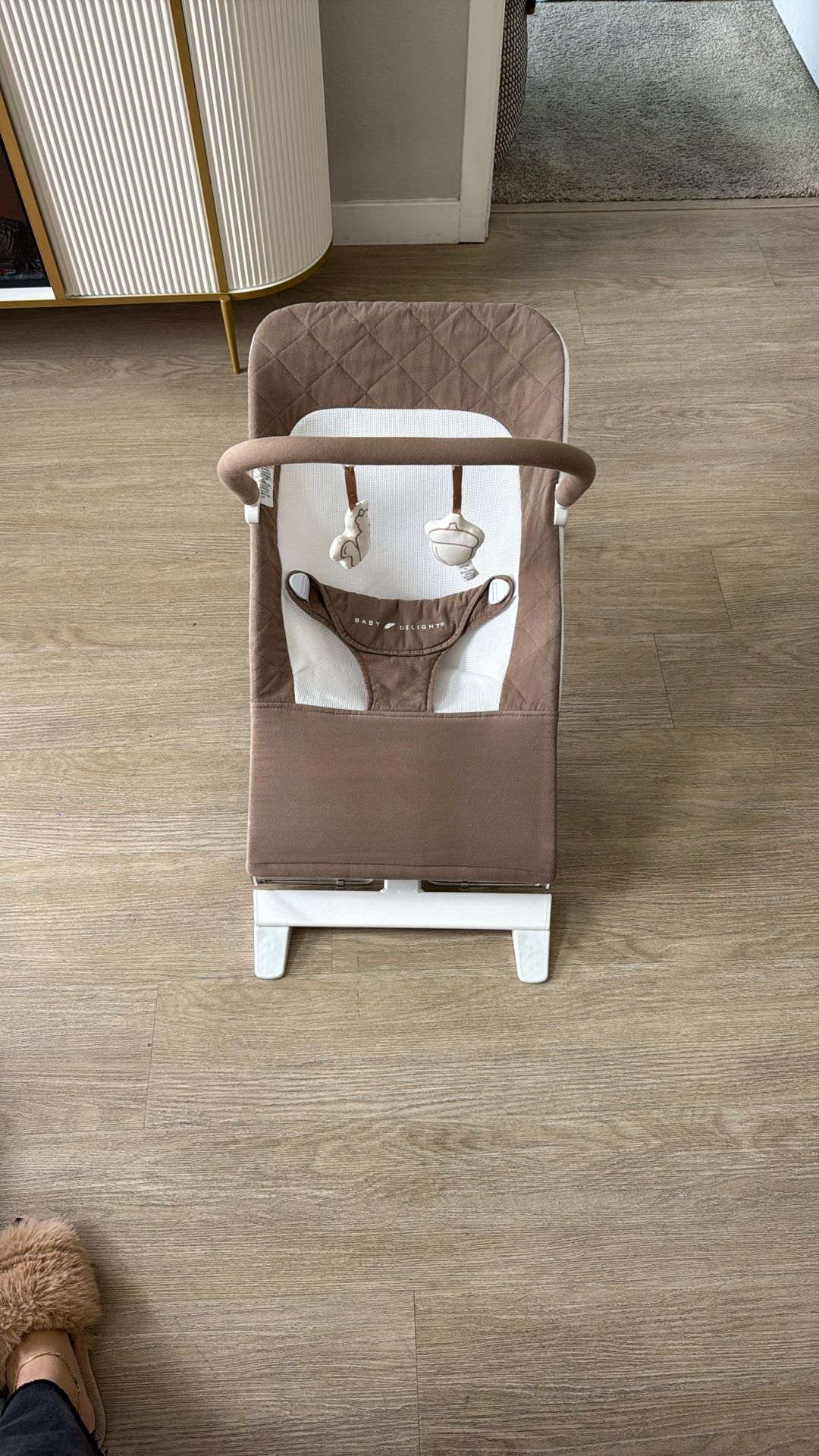 Baby Bouncer